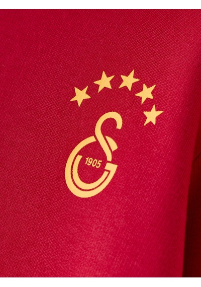 Gsstore Galatasaray Puma Çocuk Kapüşonlu Sweatshirt 78291424 Kırmızı