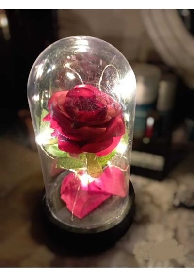 Fanusta Led Işıklı Kırmızı Gül Hediyelik Yapay Çiçek Özel Günler İçin 3 Fonksiyonlu