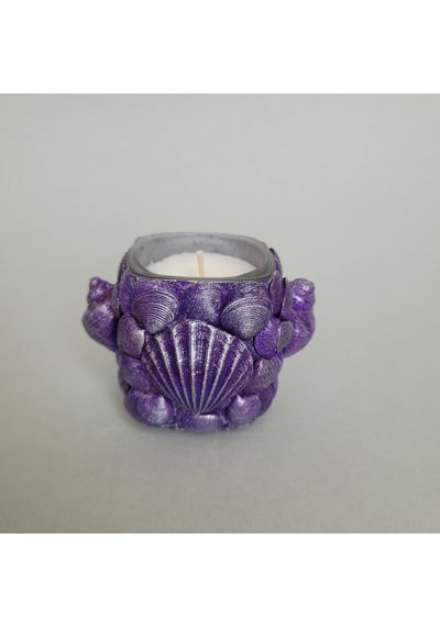 Âric Mor Deniz Kabuklu Bardakta Dekoratif Soya Wax Mum 009