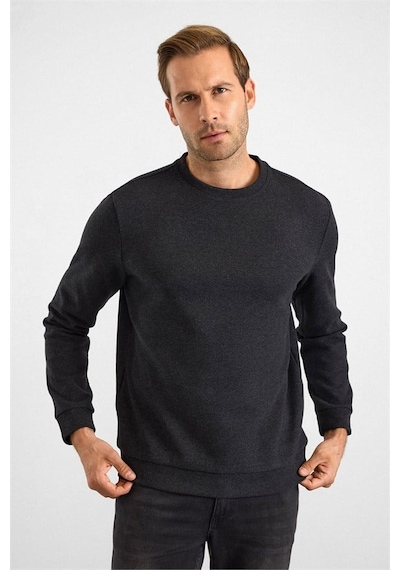 Süvari Siyah Regular Düz Bisiklet Yaka Sweatshirt Ssw2013700003-s09