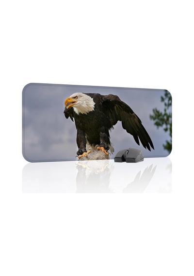 Kartal Oyuncu Gaming Mouse Pad Kauçuk Kaymaz Taban Mousepad V2, 70x30 Xl