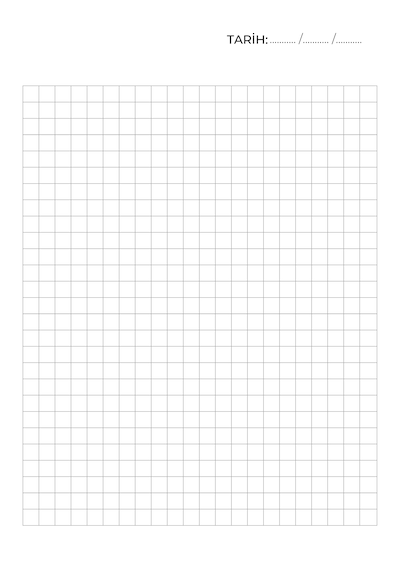 Kareli Defter, Not Defteri, Okul Defteri Mavi