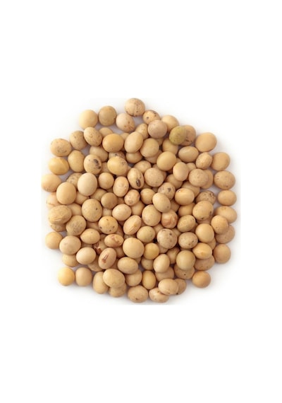 Sanita Soya Fasulyesi 1 KG