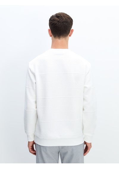 Lcw Vision Beyaz Bisiklet Yaka Uzun Kollu Erkek Sweatshirt