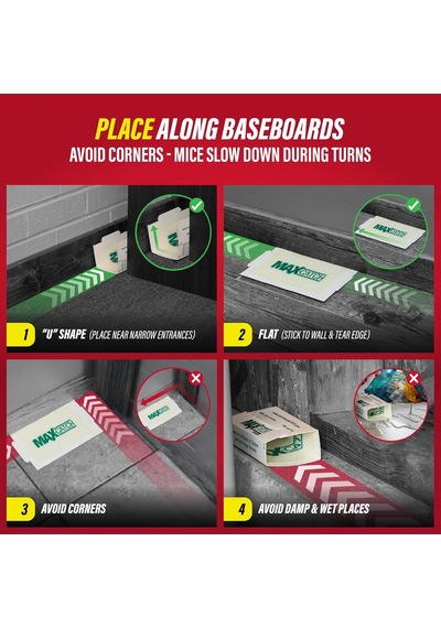 Max-catch Fare Ve Böcek Tutkal Tuzağı 36 Paket, Ev İçin Fare Kapanı İç Mekan, Böcekleri, Sıçanları Ve Kemirgenleri Yakalamak İçin Yapışkan Tepsi, Toksik Olmayan Dökme Kokusuz Tutkal