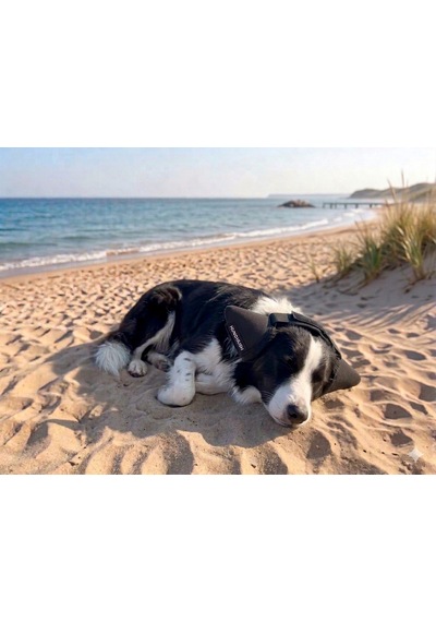 Köpek Kulaklığı Gürültü Önleyici Su Geçirmez Xs-s-m-l