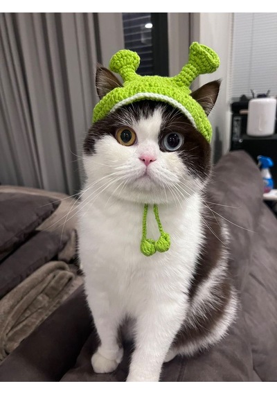 Busako Cat Özel Tasarım Kedi Kıyafeti Yeşil