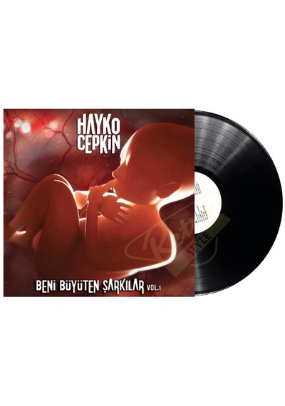 Hayko Cepkin - Beni Büyüten Şarkılar. 33'Lük Plak. LP
