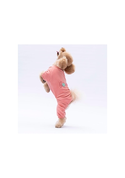 Pawstar Rose Bonjour Kadife Küçük Irk Köpek Tulumu