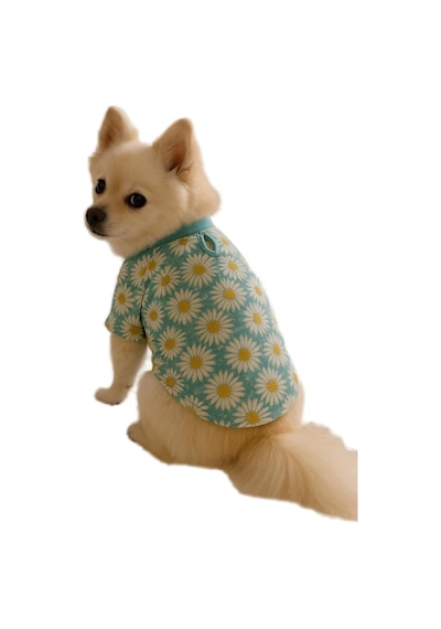 Kedi Ve Köpek Kıyafeti & Elbisesi Papatyalı T Shirt Mint Yeşil S Mint Yeşili