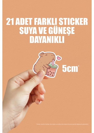 Capybara Kapibara Telefon Laptop Bullet Journal Yapışkanlı Folyo Sticker Paketi 21 Adet Çok Renkli