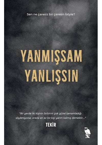 Yanmışsam Yanlışsın - Tekir - Nemesis Kitap