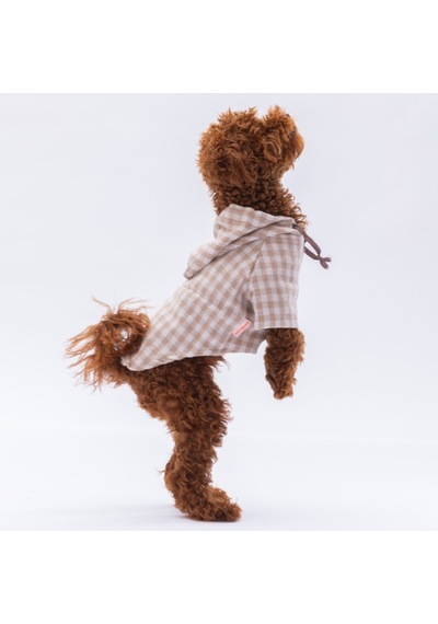 Pawstar Bej Ekose Oduncu Kedi Köpek Gömleği