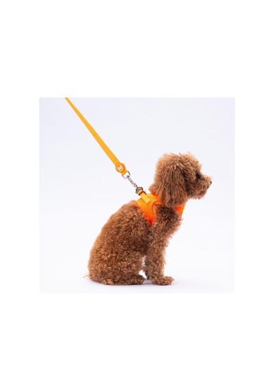 Pawstar Neon Turuncu Leash Kedi Köpek Sevk & Gezdirme Kayışı Köpek Uzatma Tasması Turuncu
