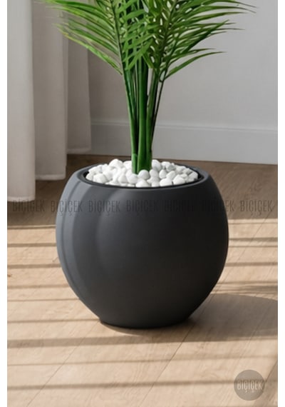 Biçiçek Areka Ağaci 24 Yapraklı 130 Cm Antresi̇t Küre Saksıda