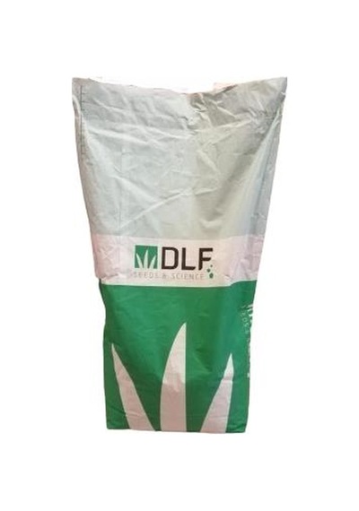 Fare Kulağı TohumuDichondra Repens1 KG