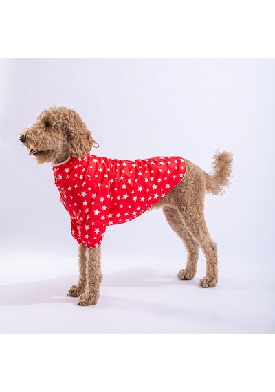 Pawstar Kırmızı Stars Orta ve Büyük Irk Köpek Montu Yağmurluğu
