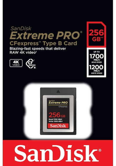 Sandisk 256Gb Extreme Pro Cfexpress Card Typeb (Sdcfe-256G-Gn4In)
