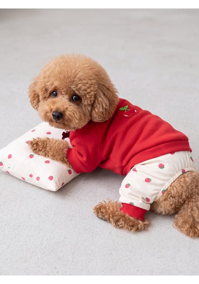 Tatlı Çilek Köpek Rüyası Pamuklu Çilekli Köpek Tulumu, Kırmızı Sweatshirt Ve Mini Yastık 3 Parça