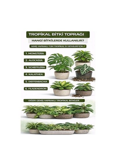 Tropikal Bitki Toprağı Karışımı Monstera Alocasia Schefflera İçin Sinek Yapmayan Formül 5 Litre Diğer