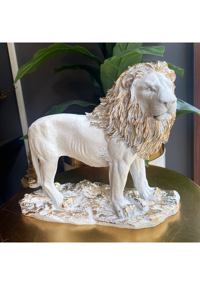Aslan Biblo Hf248-6