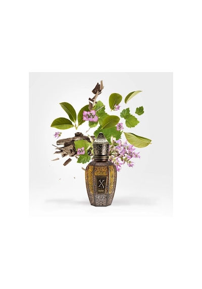 Xerjoff K Holysm Parfum 50 Ml Unisex Parfüm Odunsu