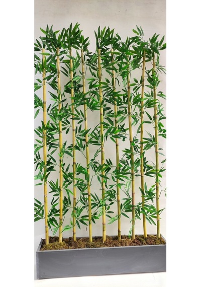 Rüzgar Yapay Çiçekçilik 170 Cm Bambu Seperatör Yeşil