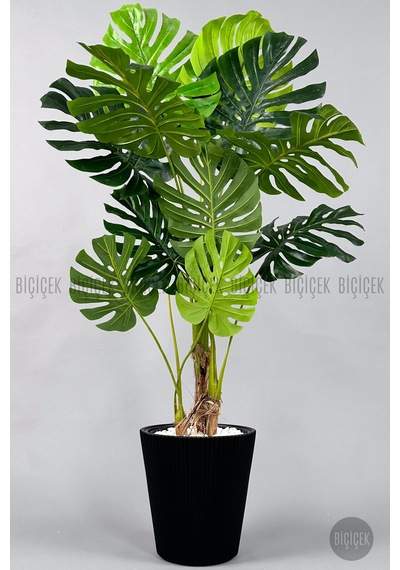 Biçiçek Yapay Monstera Ağacı Deve Tabani 160 Cm Si̇yah Luna Saksıda
