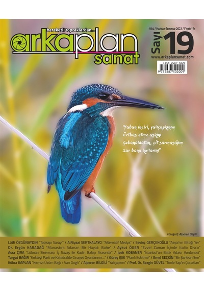Arka Plan Sanat Dergisi 19. Sayı