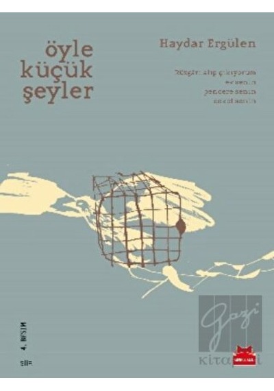 Öyle Küçük Şeyler - Haydar Ergülen - Kırmızı Kedi
