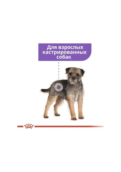 Royal Canın Royal Canin Sterilised Pate 85 Gr X 12 Adet 141133624