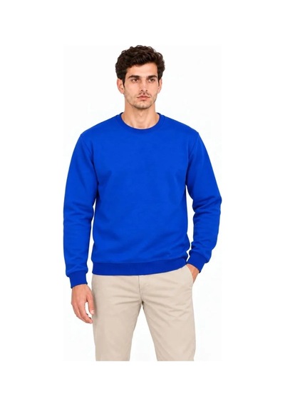 Erkek Bisiklet Yaka İçi Şardonlu 2 İplik Düz Uzun Kollu Regular Fit Sweatshirt - Mavi