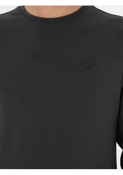 Antrasit Regular Fit Bisiklet Yaka Sweatshirt Gri