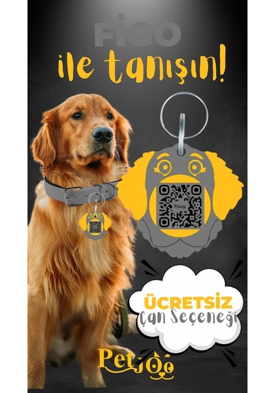 Petjoo 27.Figo Sarı-Gri Qr'lı Köpek Künyesi