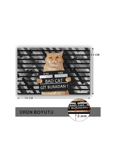 Kedi Köpek Komik Tasarımlı Dekoratif Kapı Önü Paspas, Dış Mekan/ev İçi/banyo/mutfak/yatak Odası/giriş Paspas Diğer