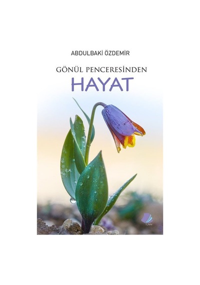 Gönül Penceresinden Hayat - Memduh Şevket Esendal - Türk Edebiyatı Vakfı Yayınları