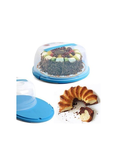 Kilitleme Mekanizmalı Pasta Kek Kabı 30 X 15 Cm Asorti