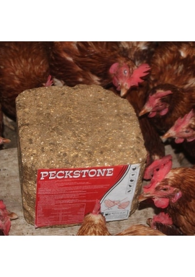 Peckstone 4 Kg Kanatlılar IçinVegagalama Taşı