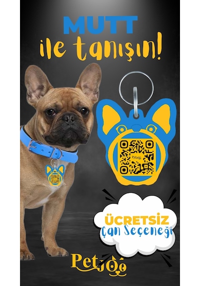 Petjoo 10.Mutt Sarı-Mavi Qr'lı Köpek Künyesi