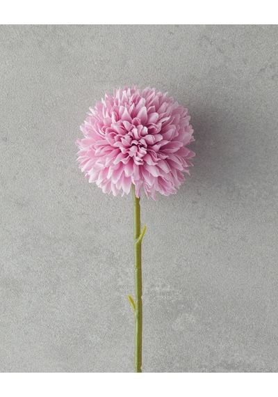 Dandelion Tek Dal Yapay Çiçek Gül Kurusu