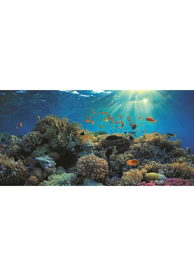 Kanki Pet KP10552021 Akvaryum Arka Fon Yapıştırma 105 CM