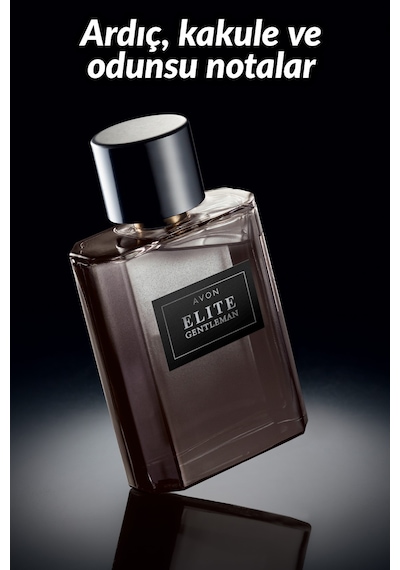 Avon Full Speed Erkek Parfüm ve Elite Gentleman Erkek Parfüm İkili Paket