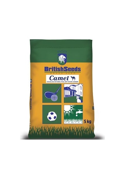 Camel Çim Tohumu Kurak Bölgeler İçin Çim Tohumu Karışımı 5 KG