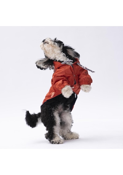 Pawstar Turuncu Pluvia Kedi Köpek Mont Kedi Köpek Kıyafeti