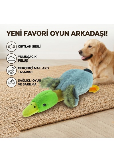 Köpek Pelüş Ördek Tasarımlı Vinil Sesli Köpek Isırma Ve Oyun Oyuncağı
