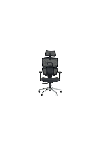 Venice Profesyonel Premium Yönetici Koltuğu Ergonomik