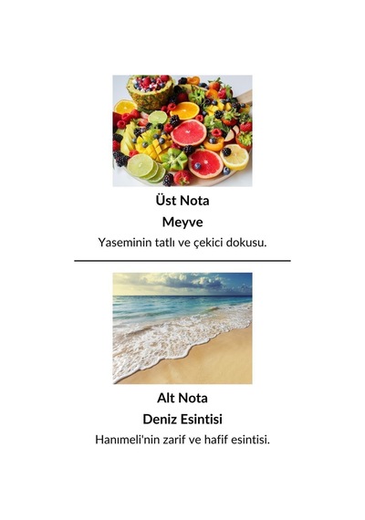 Alescia St-91 Kadın Parfüm EDP 50 ML