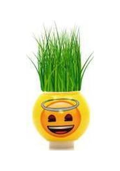 24 Adet Karne Emoji Çim Adam Okul Etkinlik Toptan Fiyatı