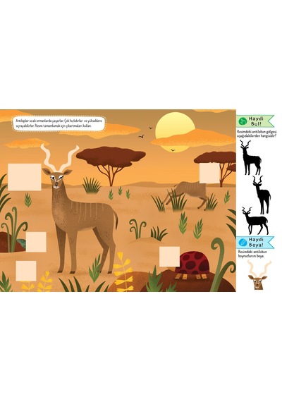 Eğlenceli Öğretici Aktivite Kitabı - Doğal Yaşamda Safari