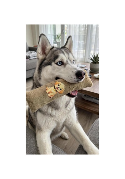 Kedi Köpek Hışırtılı Sesli Oyuncak Kadife Evcil Hayvan Oyun Oyuncağı Bej